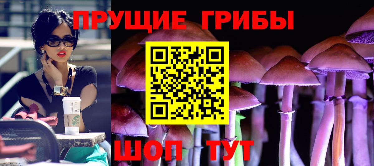 Псилоцибиновые грибы GOLDEN TEACHER  Вход с VPN  Псилоцибиновые грибы ЛСД  Орехово-Зуево 